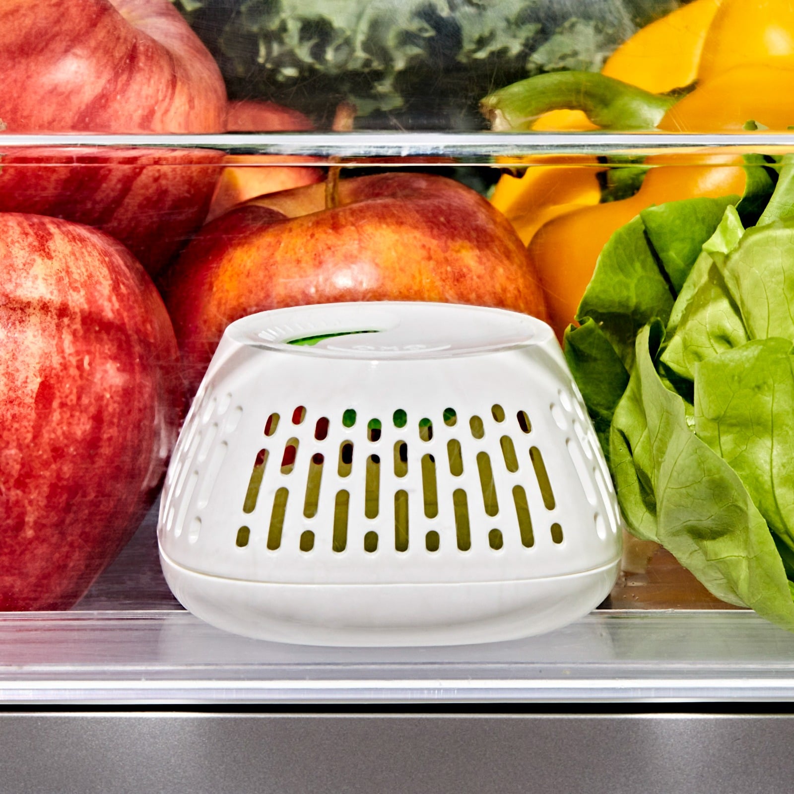 食器 cyaro Produce Saver Crisper Drawer Insert 2-Pack