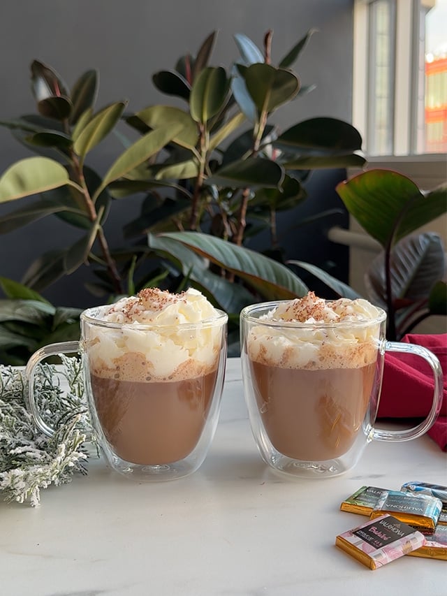 Valrhona x OXO Hot Chocolate Mocha 