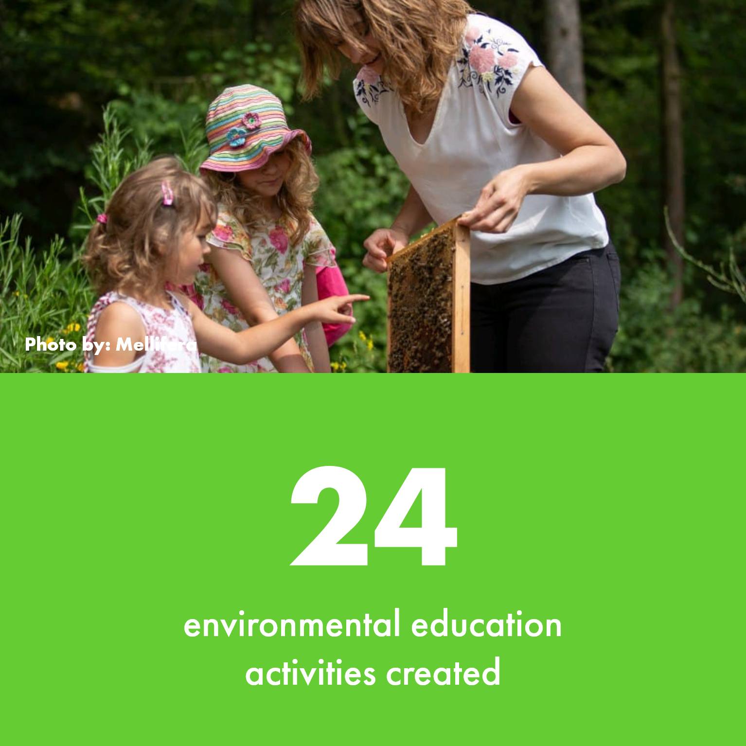 oxo fact 24 environmental education activites created